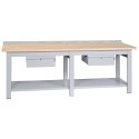 Banco da lavoro struttura in metallo piano superiore legno faggio multistrato cm.250x75x90h 2 cassetti arredo officine B525002CF