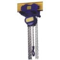 Paranco manuale sollevatore verticale a catena kg.500 con carrello ribassato per trave 64-140 movimenta carichi DC.0.09100500F