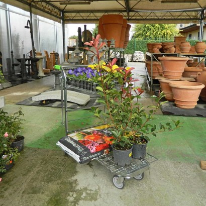 Carrello pianetta garden per sacchi vasi piante giardinaggio vivai 0222000C8F