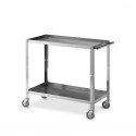 Carrello di servizio a 2 vasche in acciaio inox cm.89x48xh85 Kg.60 per trasporto e movimentazione merci nella ristorazione 1545F